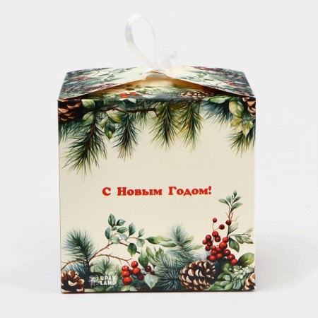 New Year. The box is folding, a gift New Year's "spruce branch" 14 x 14 x 14 cm.-2