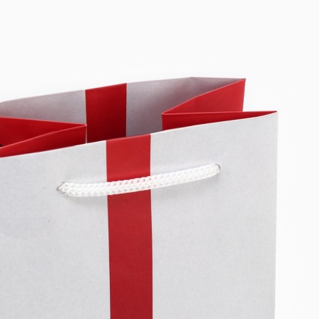 Gift package for a bottle, packaging, Bant, 36 x 13 x 10 cm-6