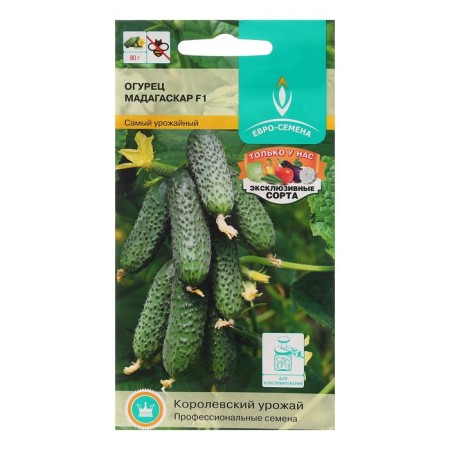 Madagascar cucumber seeds F1, early -ripe, parthenocarpic, slightly aged, 0.25 g