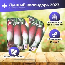 Seeds Radis 