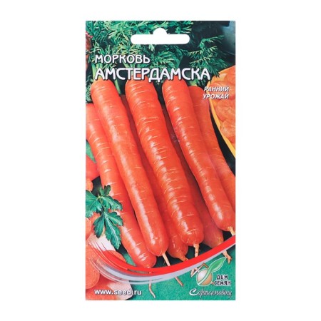 Carrots "Amsterdam", 1500 pcs