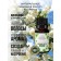 Natural yasmine essential oil, 8 ml