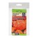 Seeds of pumpkin "Honey porridge", early nod, set 5 pcs