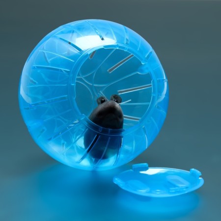 Ball for rodents "Pigger", 12 cm, blue-2