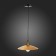 Suspension lamp ST LUCE. SL1017.203.01. Romo. 1x60 W, E27, 30x30 cm, black color