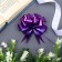 Bant-Shar No. 1.8 "Classic", purple color
