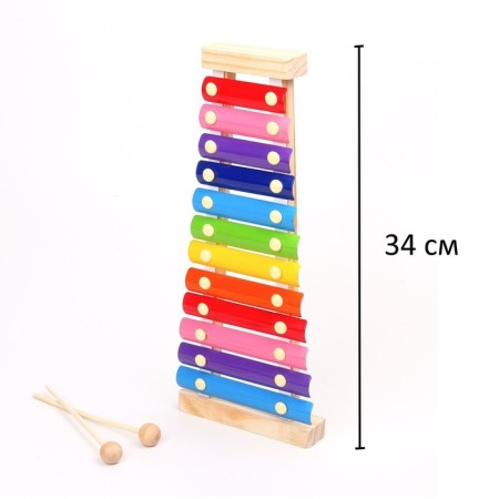 Metallophone, 12 tones + cards with songs-3