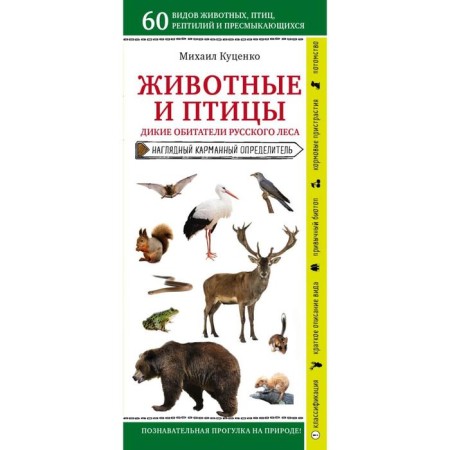 Животные и птицы. Дикие обитатели русского леса. Куценко М. Е.