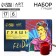 Set of artistic gouache 6 colors 17 ml Artlavka