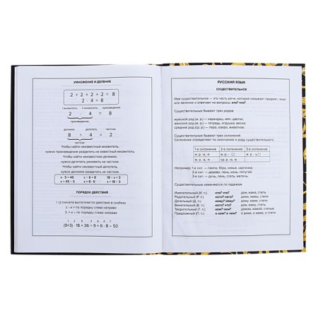Universal Grade 1-11 Diary, 48 sheets "Art Banan", integral cover, matte lamination, selective UV-fluid-11