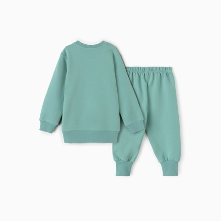 Kit for children (jumper, trousers), dusty mint color, height 86 cm-5