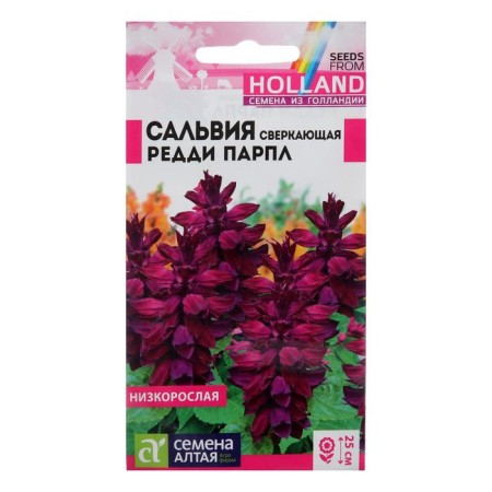 Salvia flower seeds "Reddi Parl", sparkling, this. Alt, c/n, 5 pcs