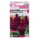 Salvia flower seeds "Reddi Parl", sparkling, this. Alt, c/n, 5 pcs