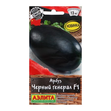 Seeds of watermelon "Black General" F1, c/p, 5 pcs