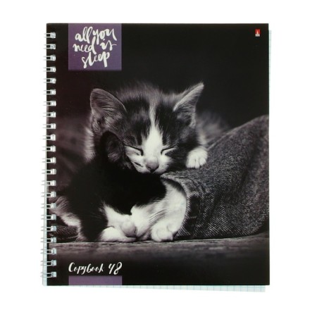 Notebook A5+, 48 sheets in a cage, on the crest "Kittens of Moore", cover coated cardboard, glossy lamination, mix-1