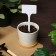 Garden signs for marking, 15 cm, set 10 pcs., Plastic, white, Greengo