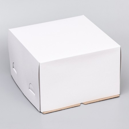 Box for cake, white, 30 x 30 x 19 cm-1