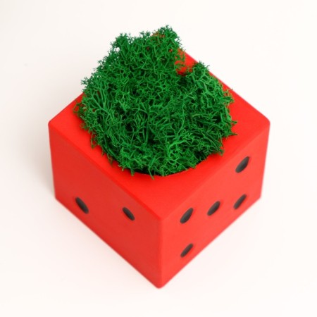 Concrete Kashpo "Player bone" with Moss red with black 7x7x7 cm (moss green stabilizir)-3