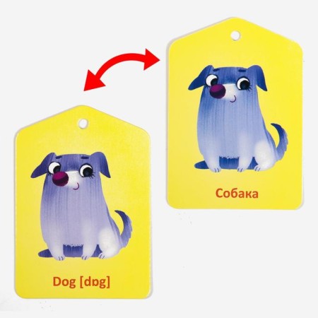 Cards on the ring for learning English "Mom and cubs", 20 cards, ring, 3+-3