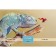 Puzzles "Chameleon" in a gift box, 500 elements + poster