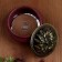 Incense spiral "thuja", 48 single -disc and 24 double -disc spirals