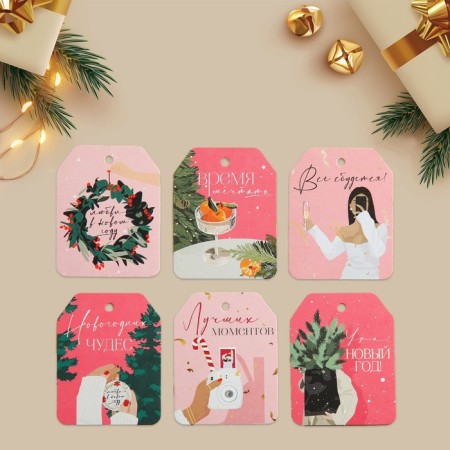Schildik for a gift “Everything will come true!”, A set of 6 pieces, stylish girls, 16 x 24 cm, New Year-3