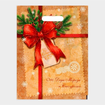 New Year. The package "Epistle from Santa Claus and Snow Maiden", plastic with a cut pen, 30 x 40 cm.