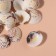 Natural decorative shells "Tiger Venus" set 100 grams