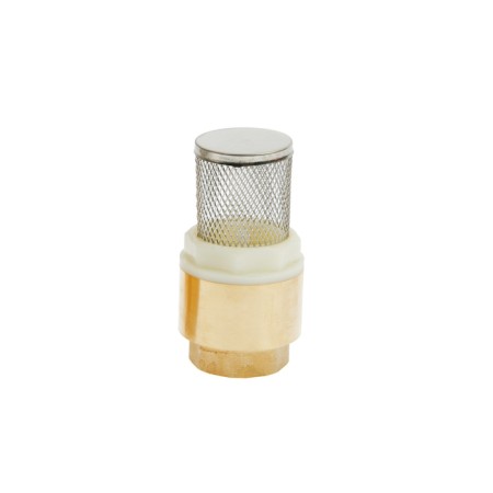 The reverse valve with the net "STM", 3/4 "