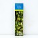 Actinidia hybrid "fragrant", 1 pc, tube, spring 2025