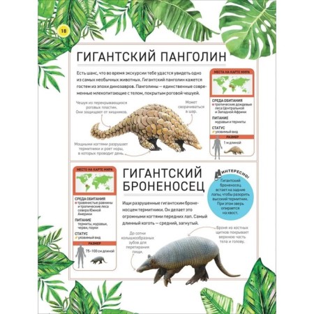Encyclopedia "Amazing Animals"-5