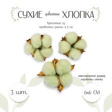 Dry flowers of cotton, set 3 pcs., Size 1 pc. 6 × 6 cm, green color