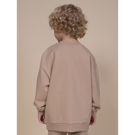 Sweatshirt for boys, height 92 cm, sandy color-9