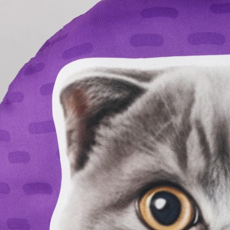 Pillow "British"-4