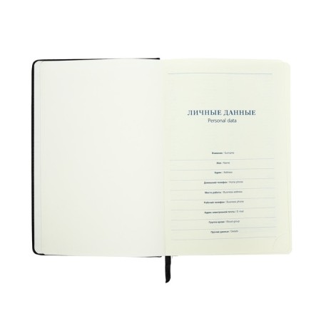 Delivery of a non -jointly A5, 136 sheets in a ruler, leatherette "Nebraska", gold cut, black-9