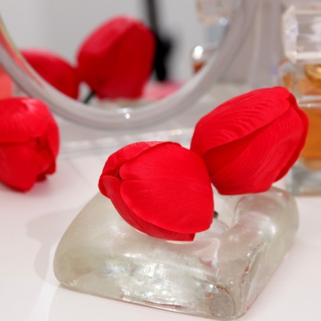 Soap tulip, red-2