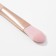A set of makeup brushes "The most stylish", 5 pcs