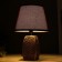 Table lamp 16444/1br E14 40W bronze 22x22x34 cm Risalux