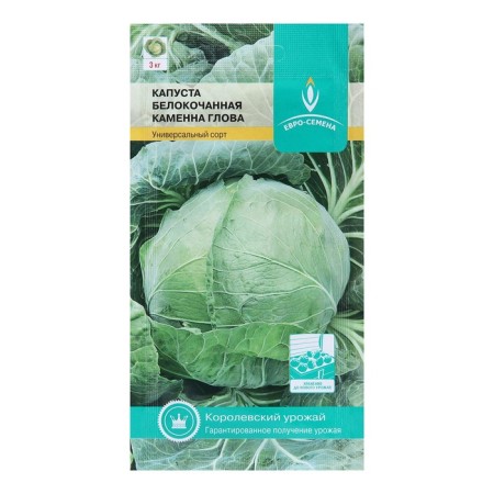 White cabbage seeds "Kamenna Glova", late -ripening, 0.3 g-2