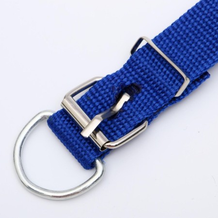 Animal collar-3