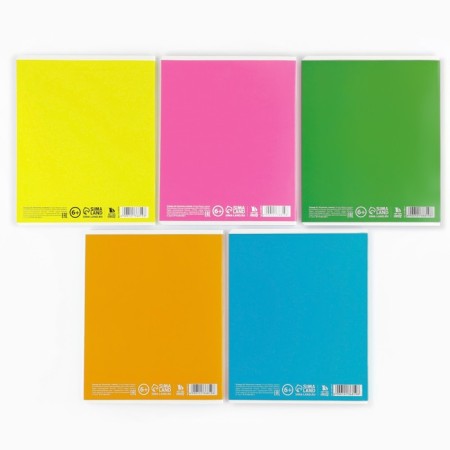 Notebook in a cage, 48 sheets A5 on a paper clip 5 pcs., Inner block No. 1 Mix “September 1: Bright Minimalism” VD LAK-9