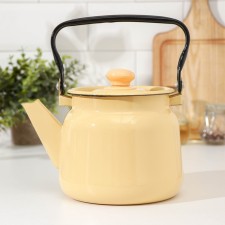 Kettle, 2.3 liters, induction, stealing color