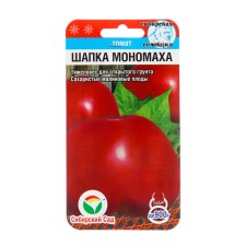 Seed Tomat 