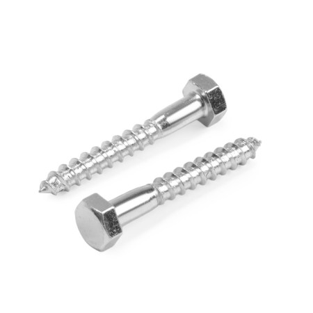 Shurup-Bolt Stroymetiz, plumbing, galvanized, DIN 571, M10x70 mm, 2 pcs