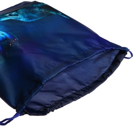 A bag for shoes 420 x 340 mm, calligrata MSO-5s, (soft polyester, density 210d), "cat"-4