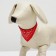 Collar with a scarf 32 x 1 cm, Osh 22-28, red