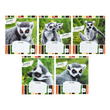 Notebook of 18 sheets in the Erichkrause Lemur Style line, cover coated cardboard, offset block, mix