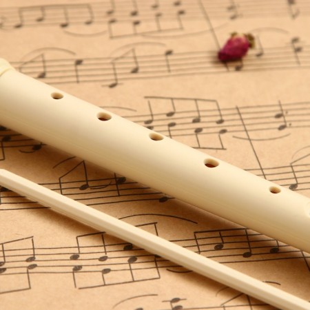 Music Life Blockflate, 8 holes, German system, soprano-3