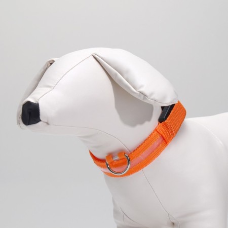 Collar with backlight size S, Osh 35-43 x 2.5 cm, 3 lumines of the glow orange-2
