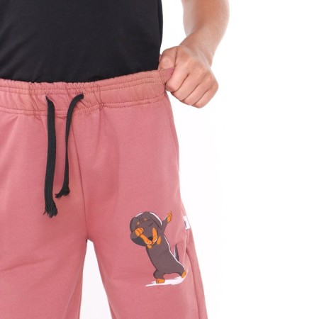 Pants for a boy, brick/dachshund, height 98-104cm-4